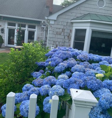 WhatsApp Image 2022-11-04 at 5.43.17 PM